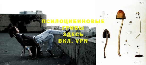 стаф Заволжск