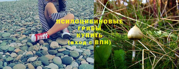 стаф Заволжск