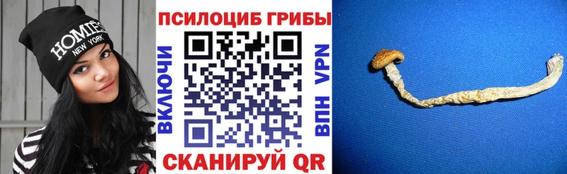 Купить где  Зеленоградск  Псилоцибиновые грибы ЛСД 